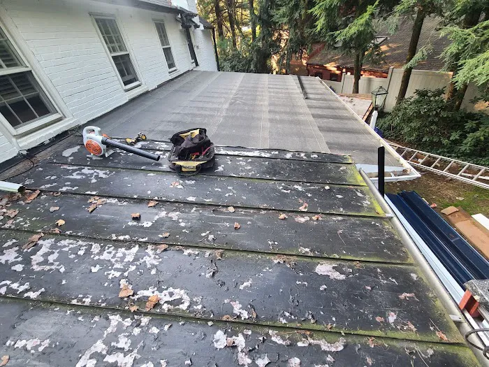 Douglas Roofing Picture 5