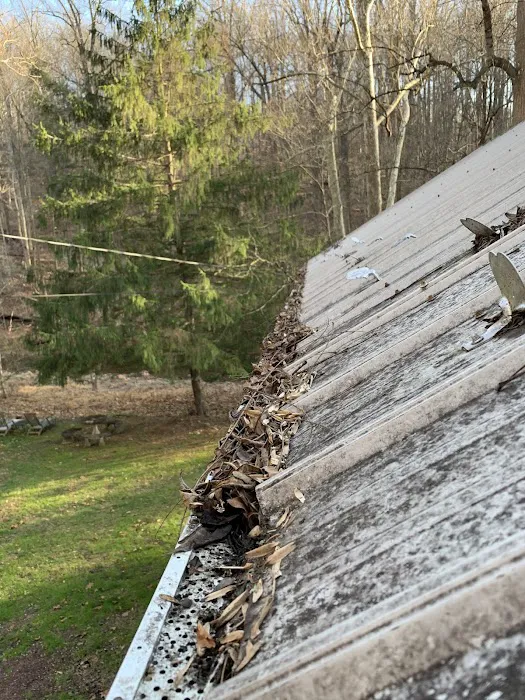 George Pie & Son Picture 2