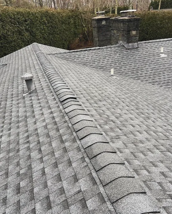 All Island Pro Roofing & Remodeling Picture 3