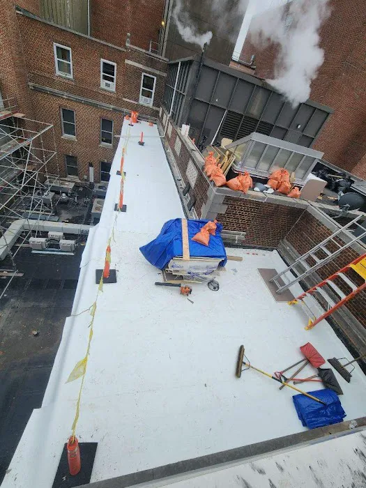 Alpine Roofing Picture 1