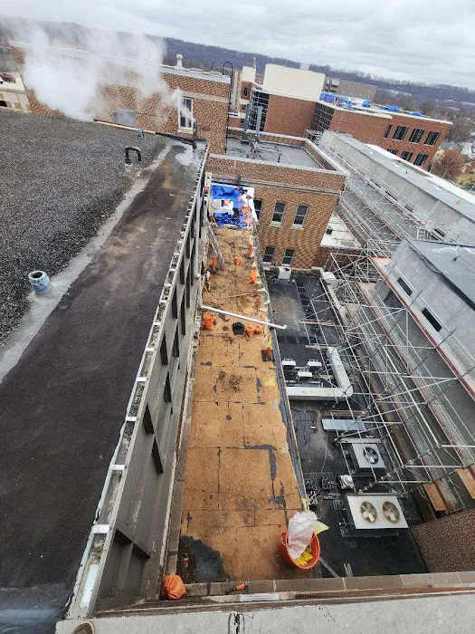 Alpine Roofing Picture 4