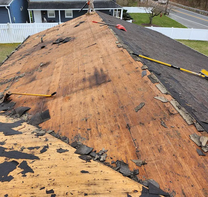 Alpine Roofing Picture 7