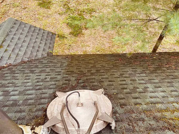 Serrano II Inc Picture 1