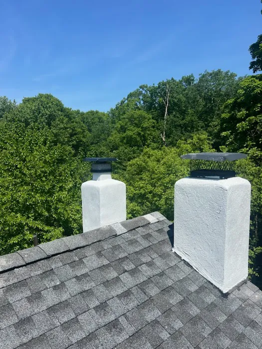 NL Roofing & Carpentry Services Picture 3