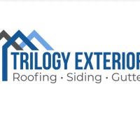 Trilogy Exteriors ico