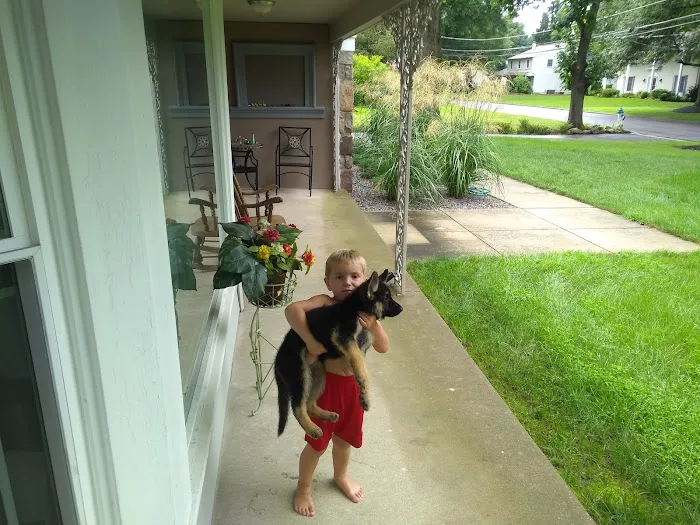 Daniel Lower Bucks Roofing Picture 3