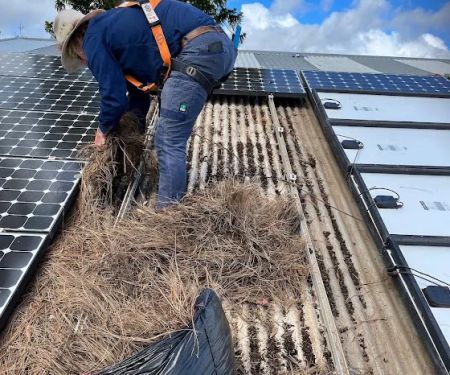 EarthRise Roofing & Siding