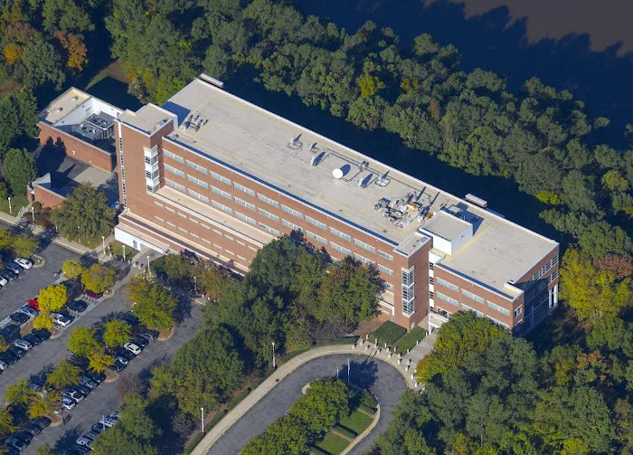 Nations Roof Picture 3