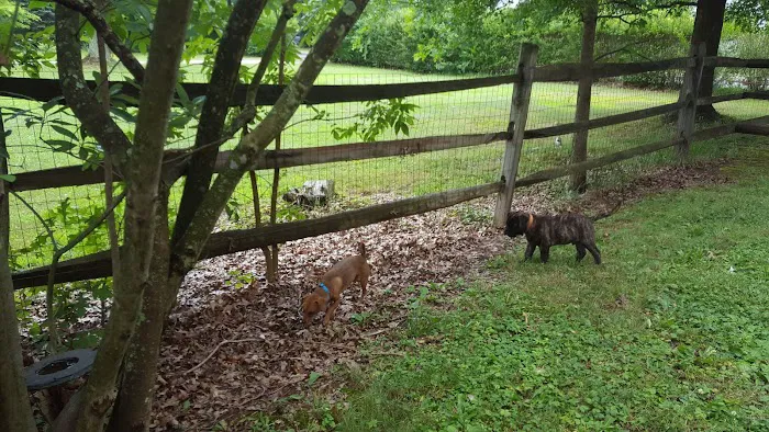 Mark J Fisher Roofing Picture 1