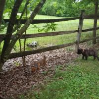 Mark J Fisher Roofing ico