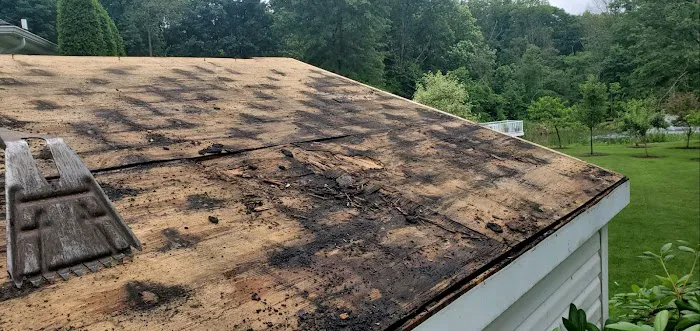 Simply Roof Repairs Picture 3