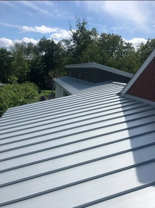 Excelsior Roofing Picture 3