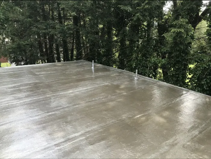 Markou Roofing Picture 3