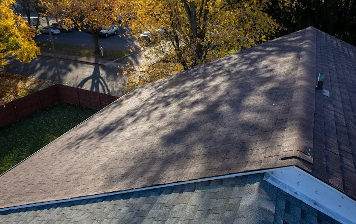 Maximus Roofing Picture 3