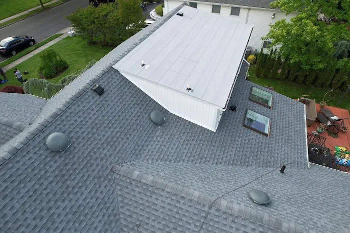 Roof Squad Picture 2