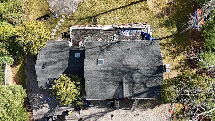 Roof Squad Picture 3