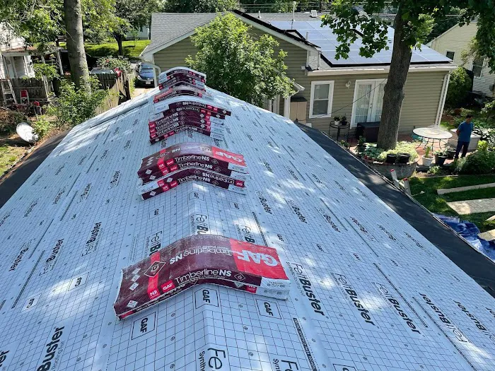 Roof Squad Picture 6