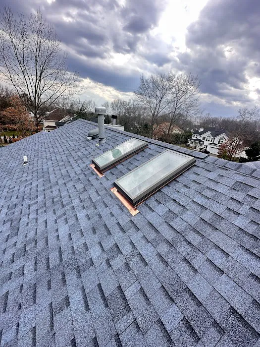 Roof Squad Picture 7