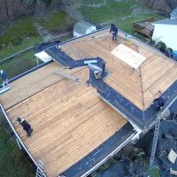 Pro Line Roofing and Chimney Inc ico