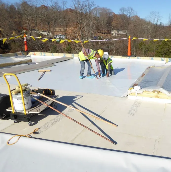 Vanguard Roofing Picture 4