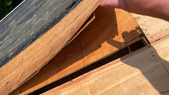 Storm Masters Picture 3