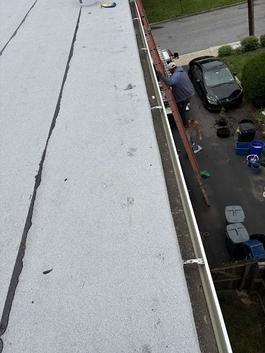 Roof Gurus Picture 10