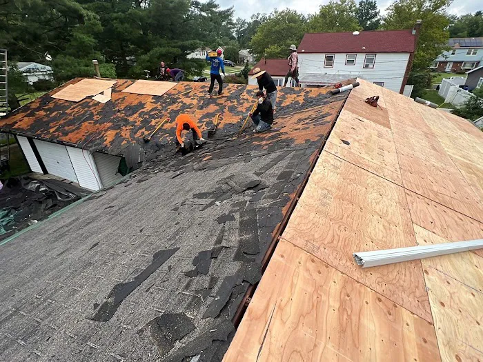 MLM Home Improvement Picture 4