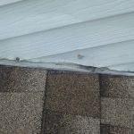 Staub Contractors Inc