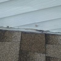 Staub Contractors Inc ico