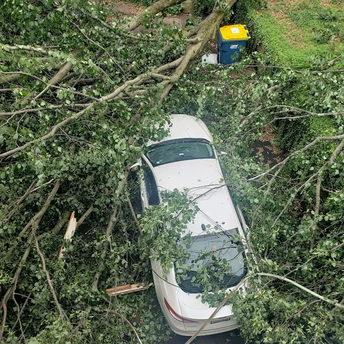 M&S Roofing & Contracting, Inc. Picture 9