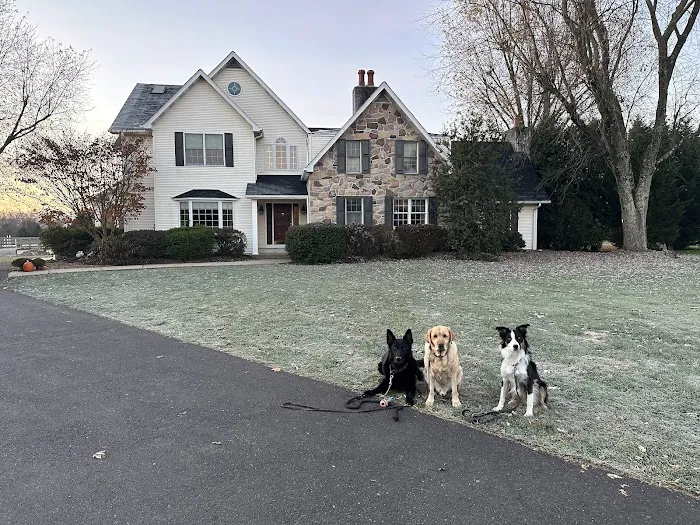 B&N Family Contracting LLC Picture 7