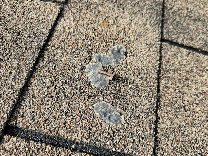 Summit Roofing Picture 1