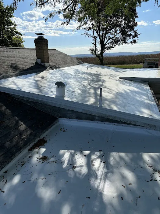 Adam Holencik Exterior Picture 4