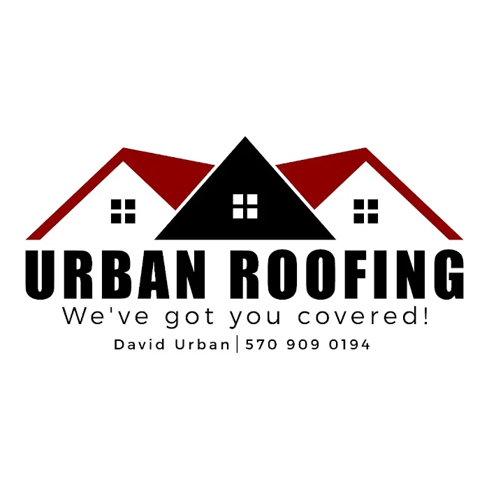 Urban roofing Picture 2