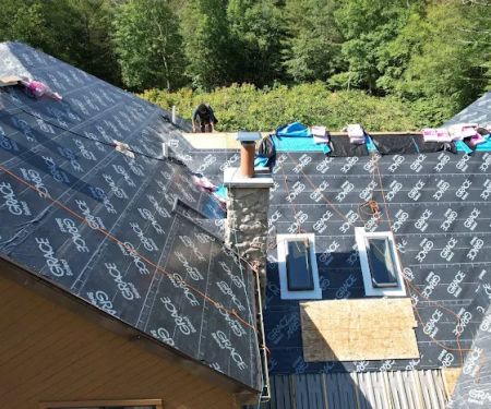 Mighty Dog Roofing