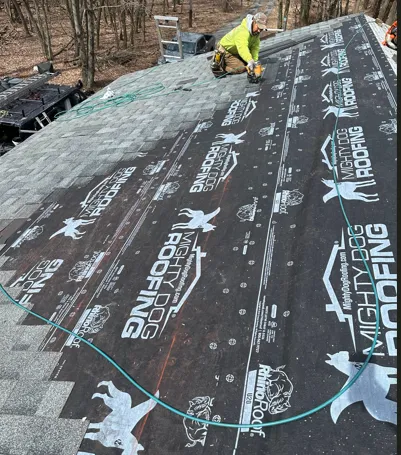 Mighty Dog Roofing Picture 5