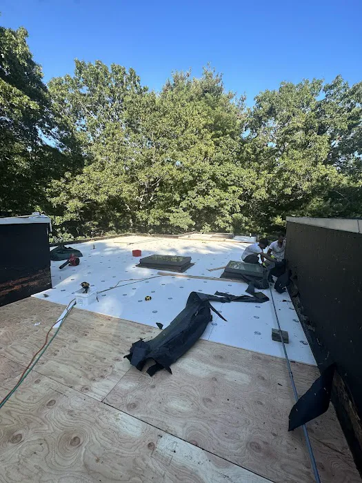 Empire Gen Roofing and Chimney Picture 6