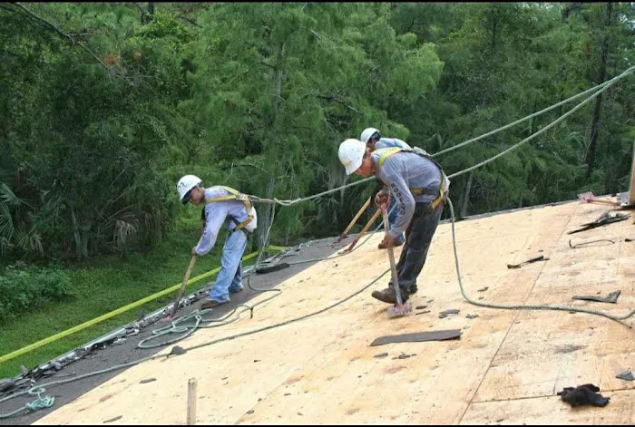 AIP Roofs & Chimneys Picture 2