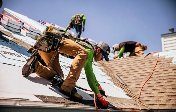 Instant Roofing Picture 3