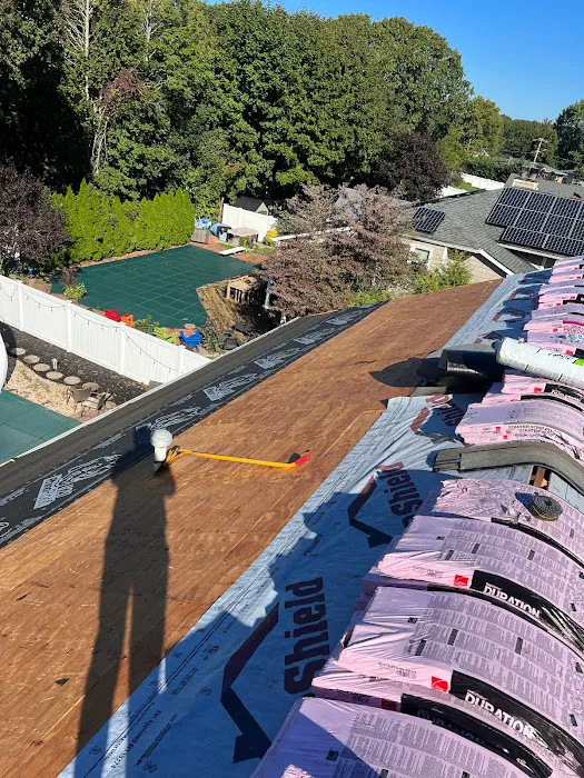 Storm Shield Roofing & Restoration Corp Picture 3