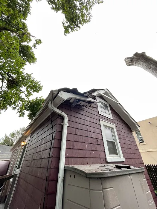 Supreme Island Corp Picture 4