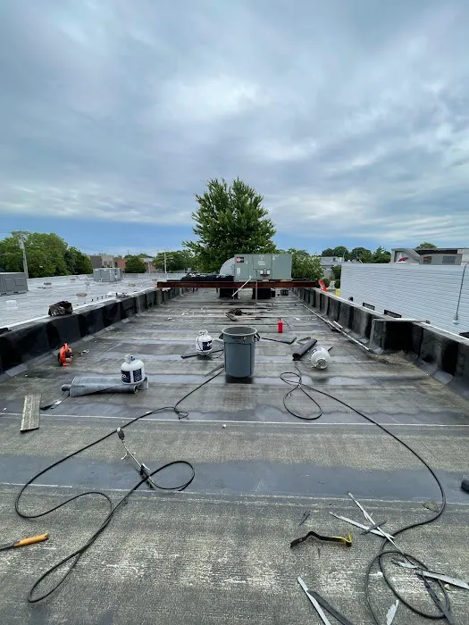 Supreme Island Corp Picture 5