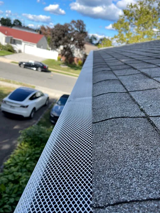 Supreme Island Corp Picture 7