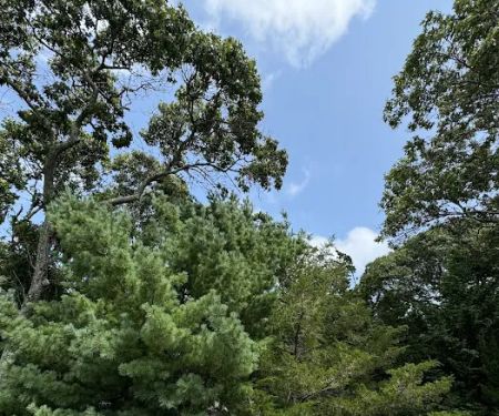 Official Construction