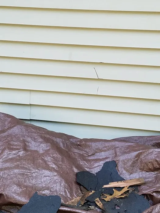 Armor Shield Exteriors Picture 4