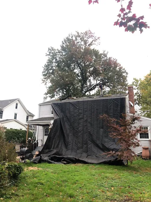 Armor Shield Exteriors Picture 10