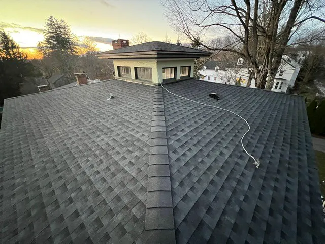 Paramount Professional Roofing Picture 1