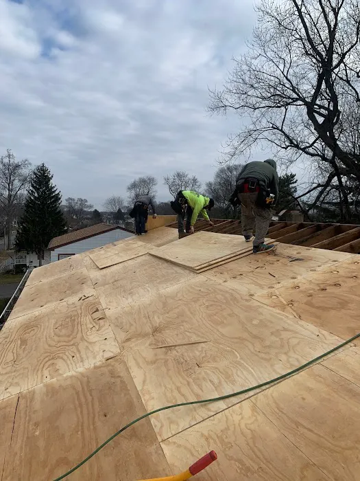 Ricci Brothers Roofing Picture 1