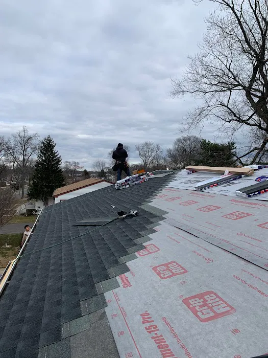 Ricci Brothers Roofing Picture 6