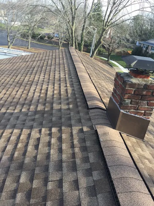 Bibbo Builders LLC Picture 5